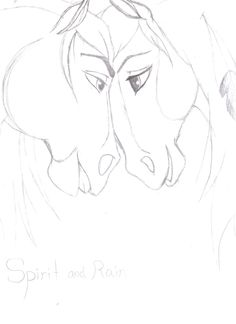 236x324 Drawings Of Rain The Horse
