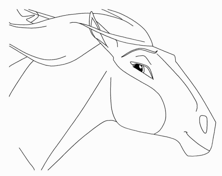 904x715 Spirit Stallion Of The Cimarron Coloring Pages Coloring Pages