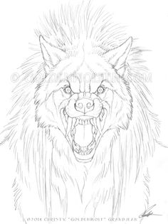 236x315 Normal Wolf Transforms To Dire Wolf Sketching Ideas Part Two