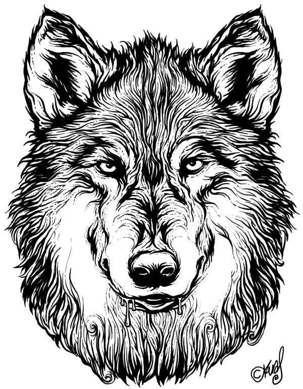 600x771 201 Best Images On Wolf Tattoos, Wolves And Draw