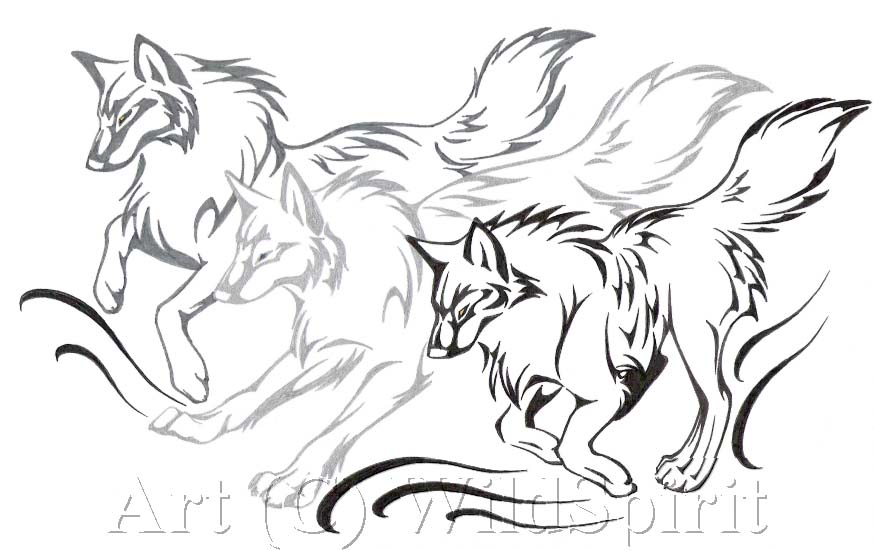 874x550 Wolf Running By Blackvixenstudios