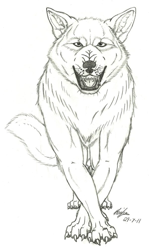 600x997 Snarling Wolf By Wolfspirit395
