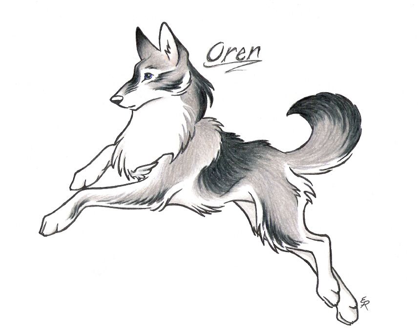 860x684 Wild Spirit Wolf Wild Spirit Wolf Wolves