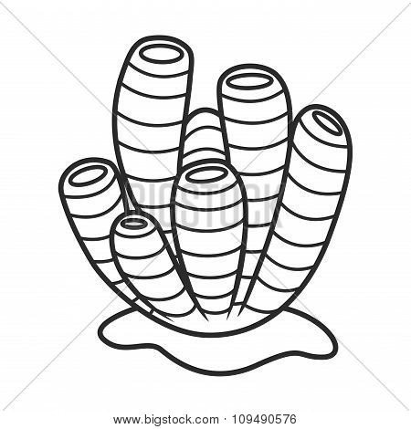 450x470 Sea Sponge Images, Illustrations, Vectors