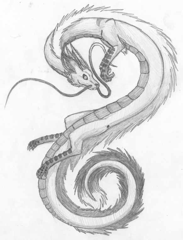 582x765 Fox Dragon By Spooky Delirium