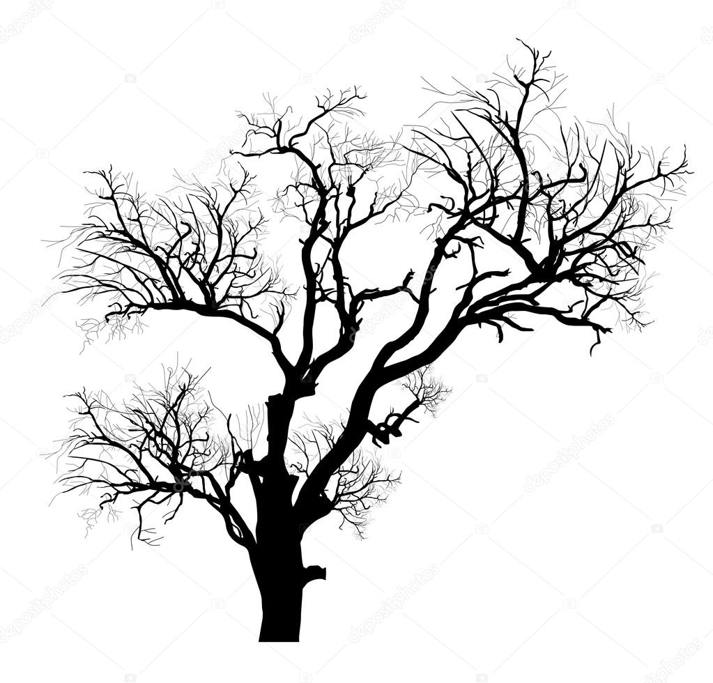 1023x980 Shape Of Scary Dead Tree Stock Vector Baavli