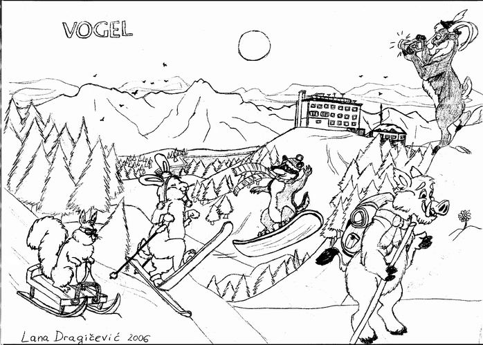 698x499 Winter Sports By Teq Uila