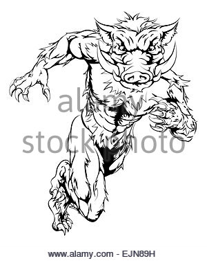 300x377 Drawing Of A Boar Animal Character Or Sports Mascot Stock Photo