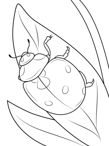 358x480 Seven Spot Ladybird Coloring Page Free Printable Coloring Pages