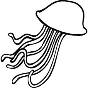 300x300 Spotlight Jellyfish Outline Polyvore