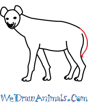 300x350 How To Draw A Spotted Hyena