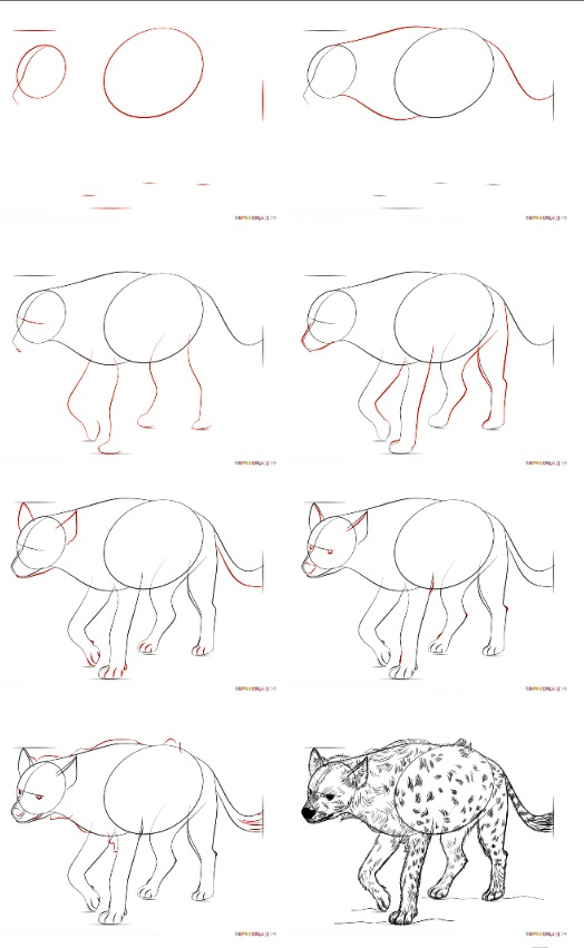 524x851 How To Draw A Spotted Hyena Other Animals To Draw