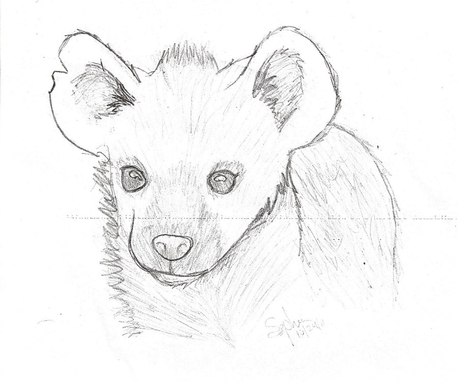 900x751 Hyena Sketch By Deliriousfox