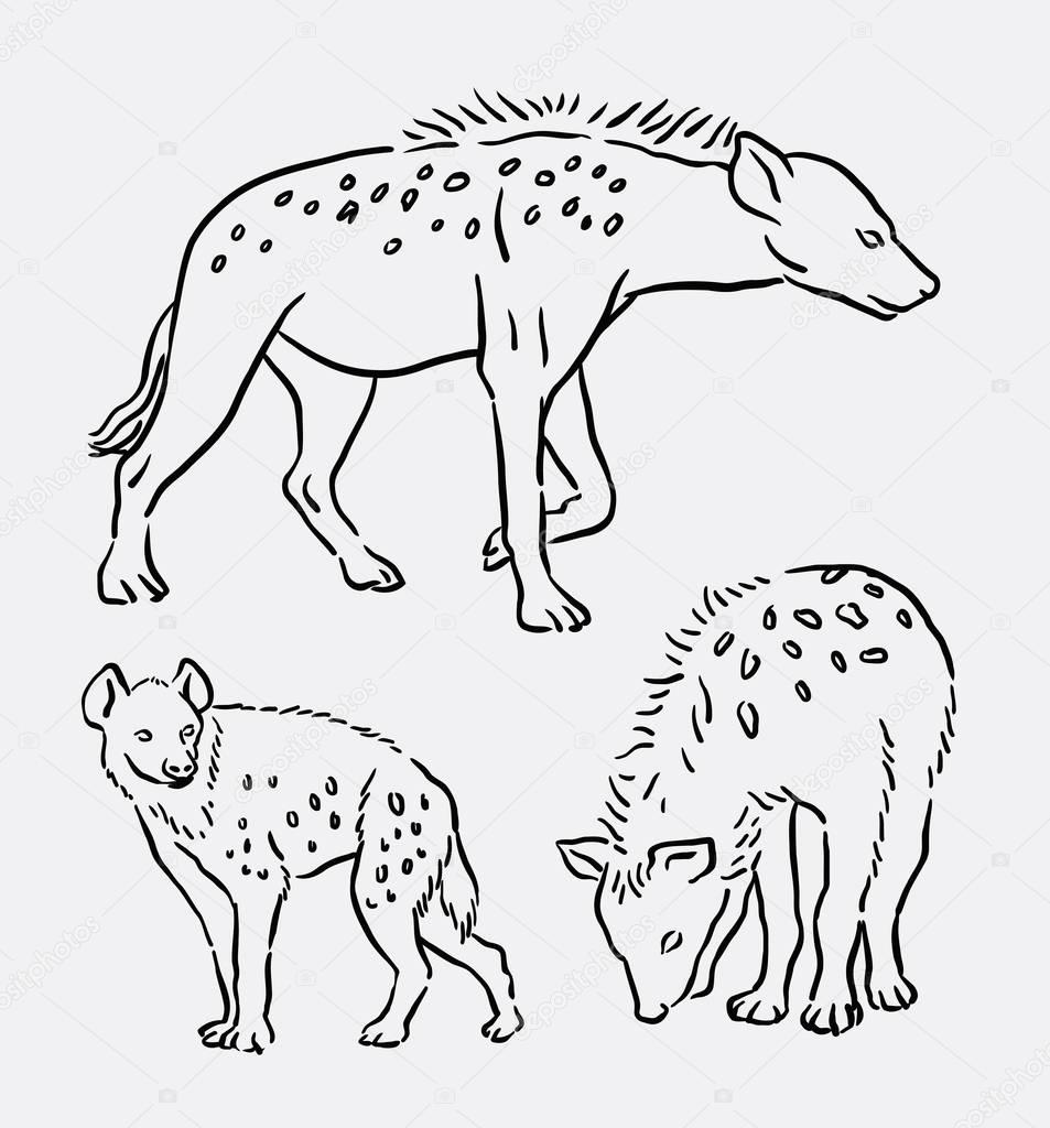 953x1024 Hyena Wild Animal Line Art Drawing Stock Vector Cundrawan703