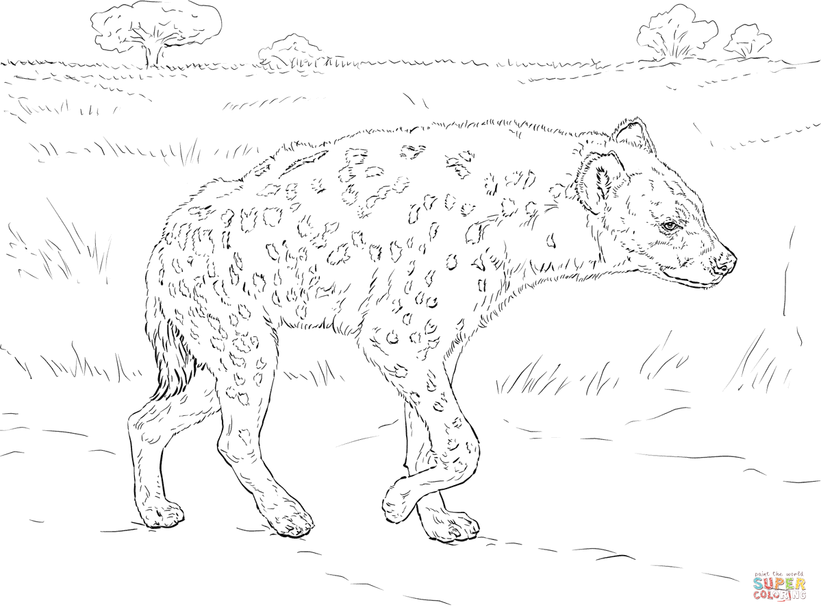 1199x899 Spotted Hyena Walking In The Savannah Coloring Page Free
