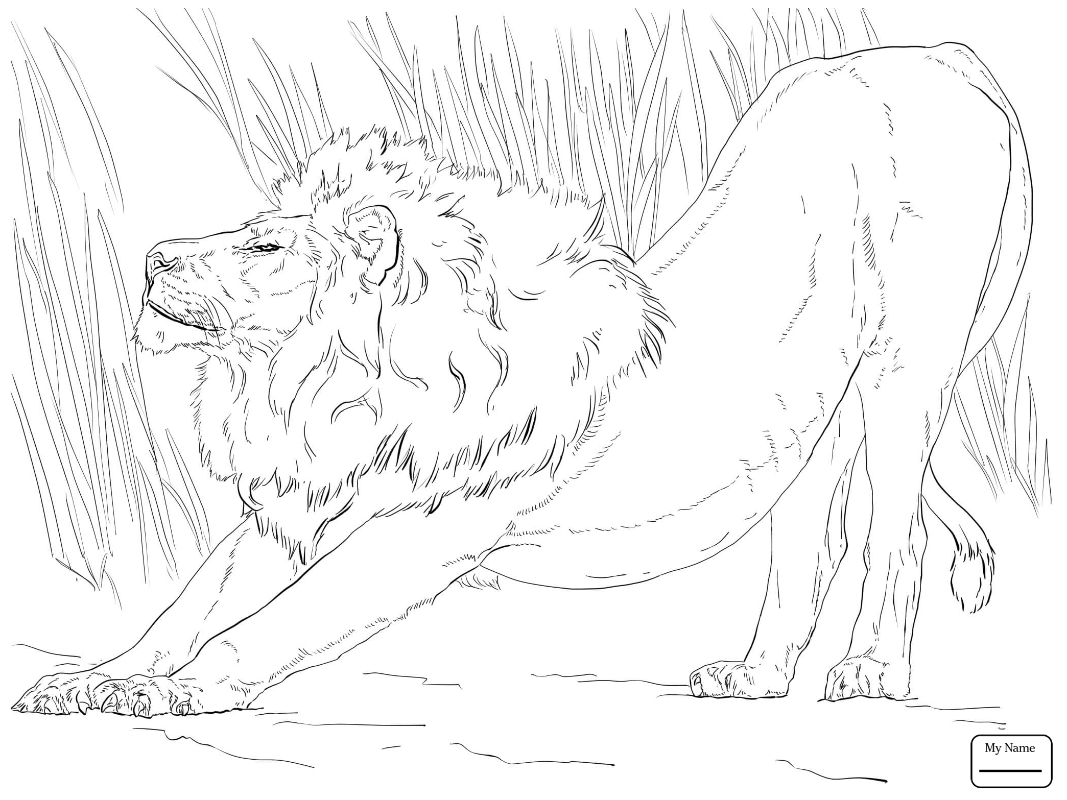 2089x1567 Coloring Pages Spotted Hyena And Lionesses In A Zoo Lions Mammals