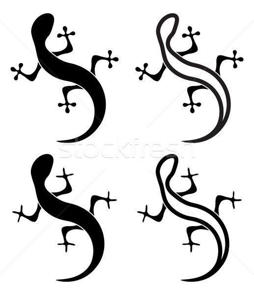 517x600 Salamander Stock Vectors, Illustrations And Cliparts Stockfresh