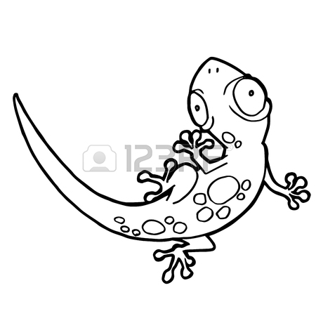 450x450 2,837 Salamander Stock Vector Illustration And Royalty Free