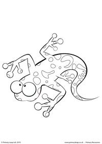 200x283 Spotted Salamander Writing Paper Primaryleap.co.uk