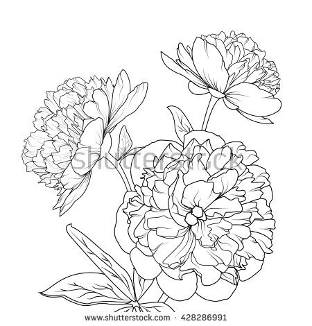 450x470 Spring Summer Flowers Flowers Drawing Drawings