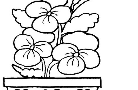 469x304 Easy Spring Coloring Pages For Boys Just Colorings