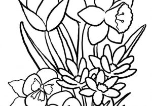 Spring Drawing at GetDrawings | Free download