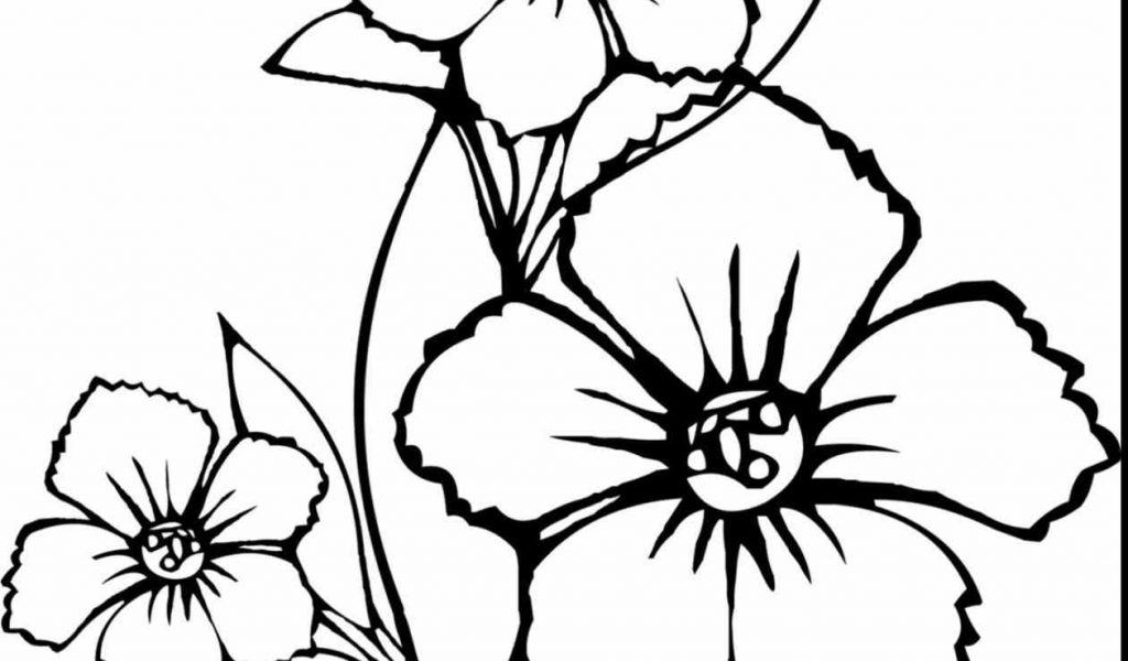 1024x600 Awesome Printable Coloring Pages For Gallery Awesome Spring
