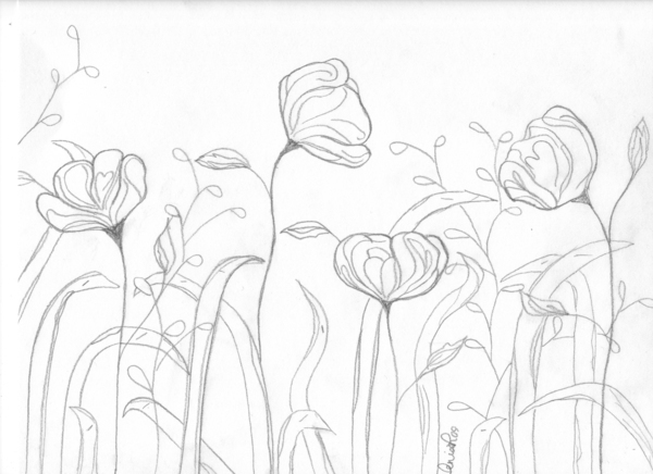 600x436 Spring Flowers Sketchdrawing