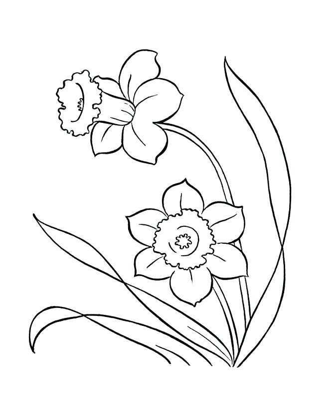 670x804 This Is Coloring Pages Spring Pictures Drawing Of Spring Flowers