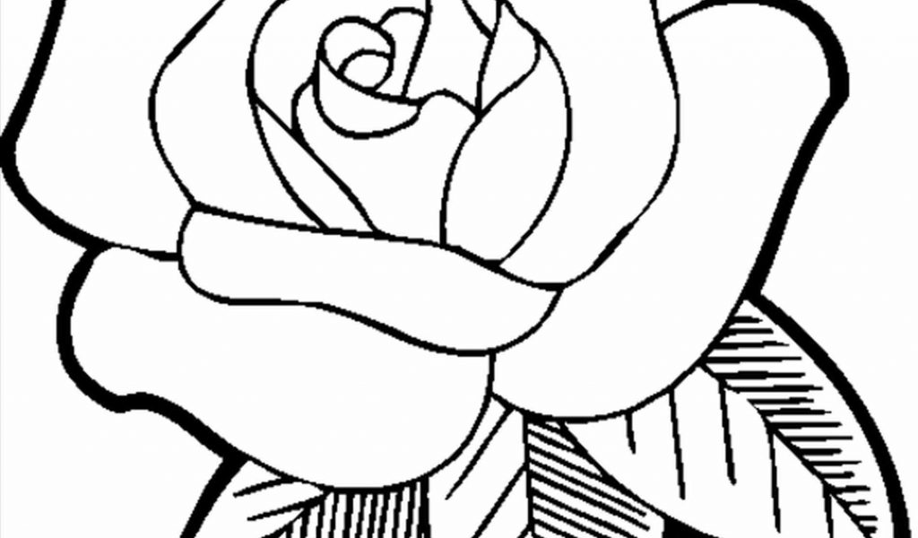 1024x600 Spring Drawing Ideas