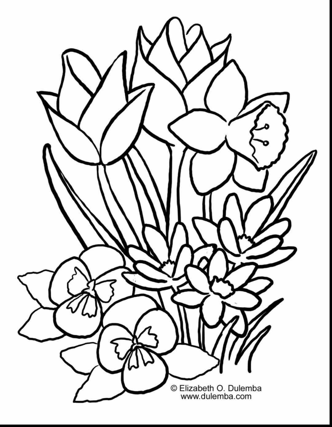 1081x1390 Drawing Ideas Coloring Pages S Spectacular Sping Easter Displays