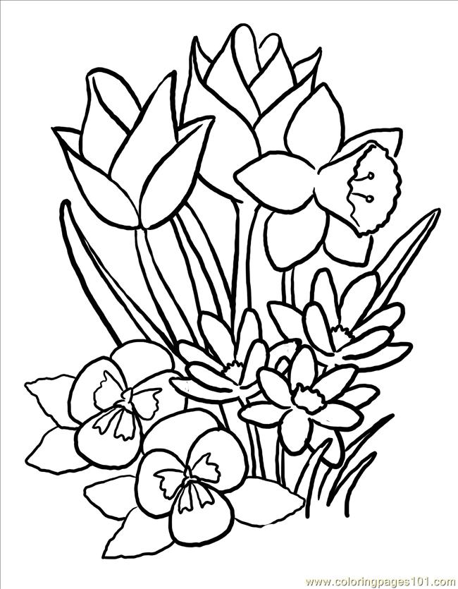 650x835 Spring Flower Coloring Pages Fascinating Spring Flower Coloring