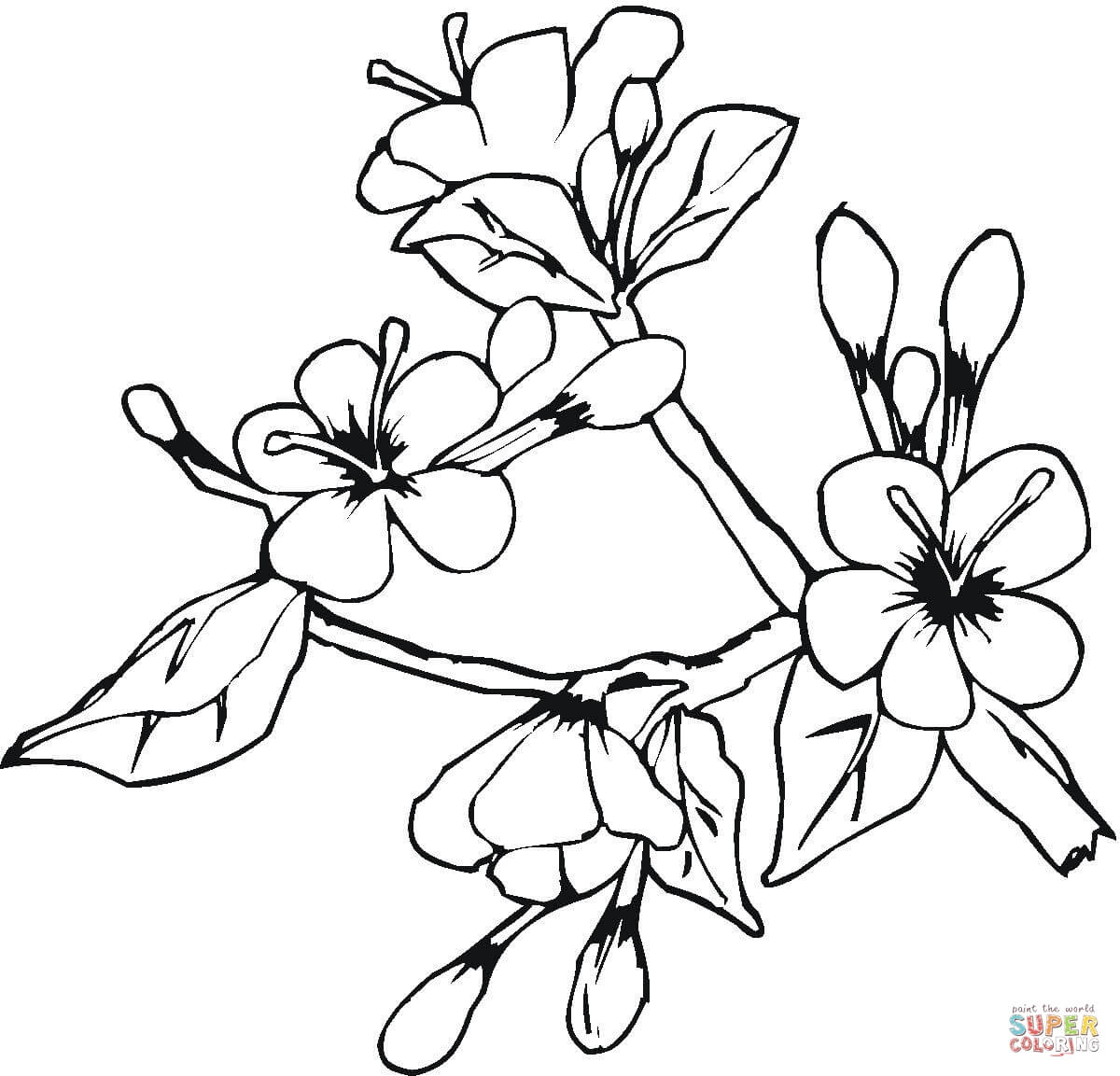 1200x1153 Easter Spring Flowers Coloring Page Free Printable Coloring Pages