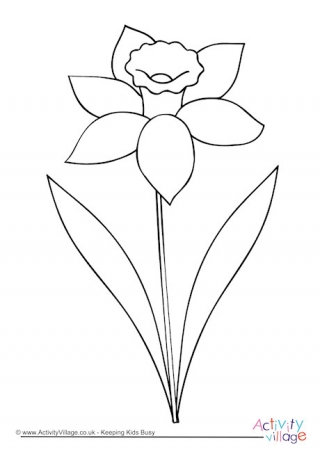 320x452 Flower Colouring Pages