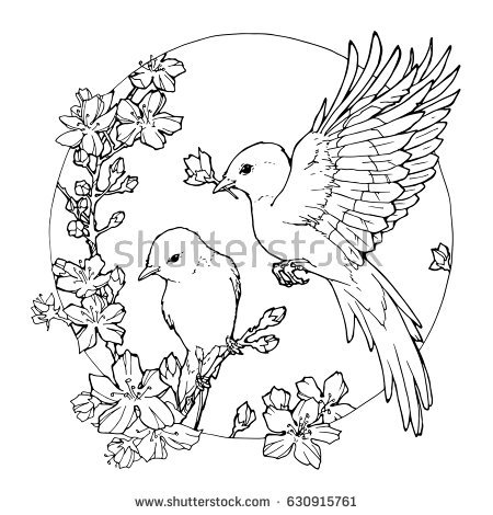 450x470 Pictures Drawings Of Flowers And Birds,