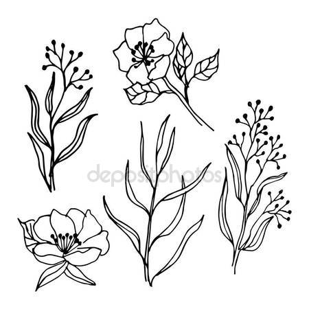 450x450 Spring Flowers Branches Line Art Drawing Set Stock Vector
