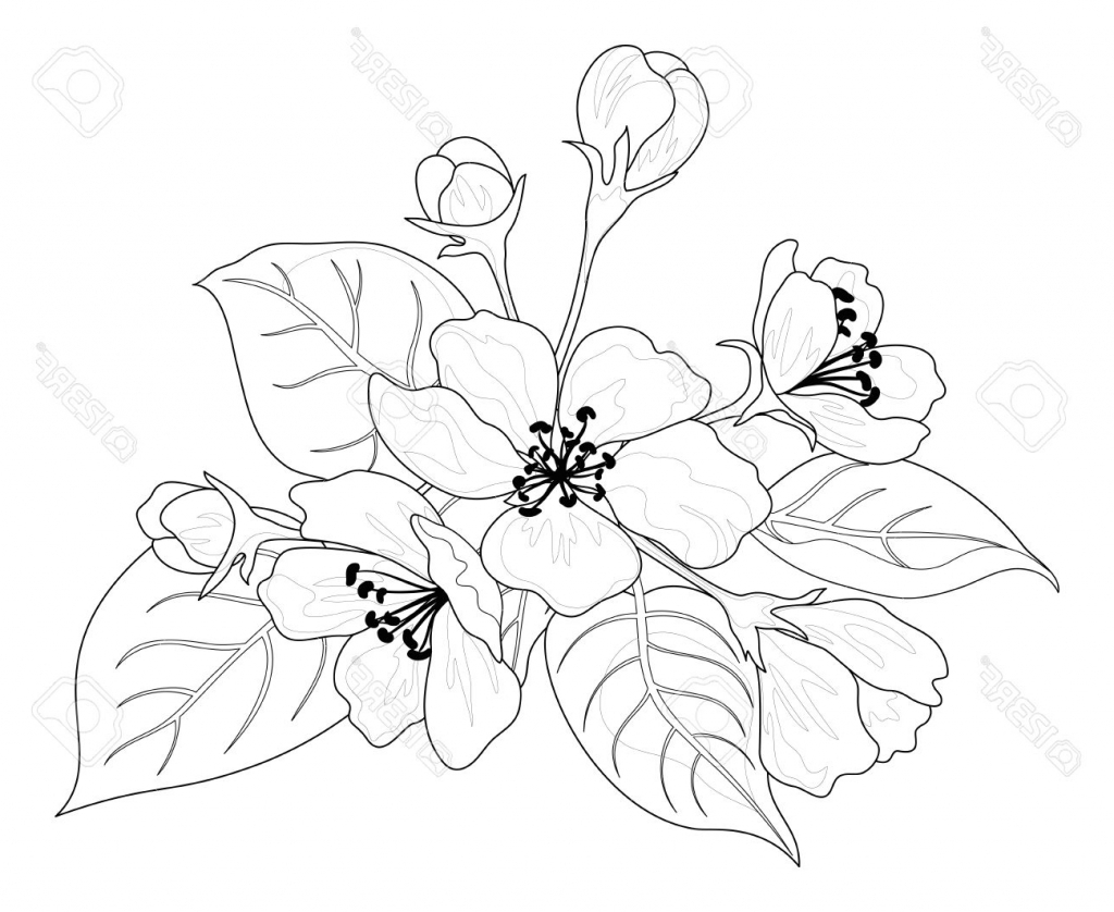 1024x838 Flower Landscape Drawing Spring Landscape With Butterfly