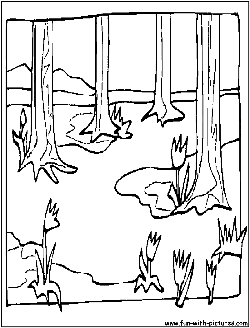 800x1050 Spring Landscape Coloring Page Free Coloring Pages For Kids