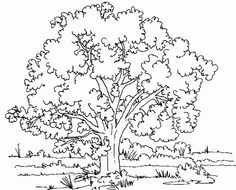 236x190 Imagenes De Seres Vivos Reproduciendose Para Colorear