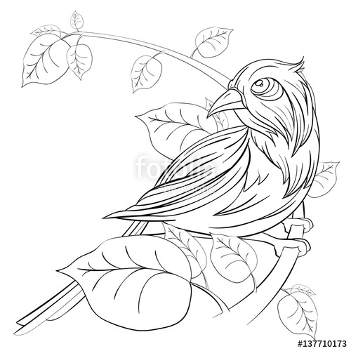 500x500 Exotic Bird Sitting On A Branch With Leaves On White Background