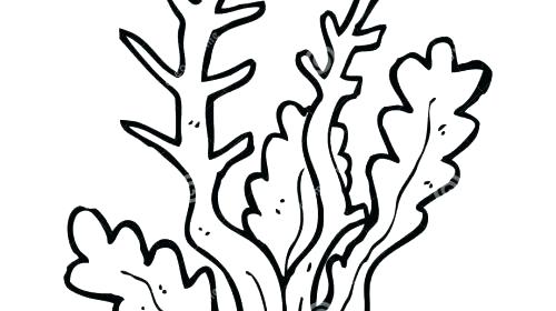 500x280 Coloring Pages Trees Plants And Flowers Coloring Pages Of Spring
