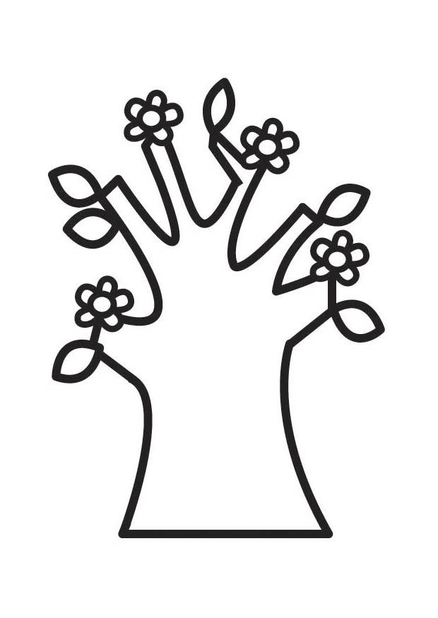 620x875 Coloring Page Flowering Tree In Spring