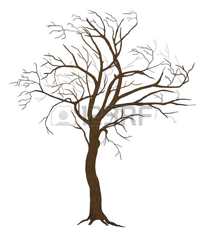 414x450 Isolated Sakura Spring Blossom Blooming Tree With Flowers