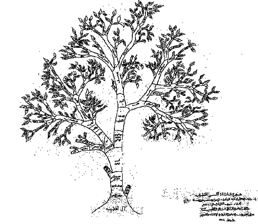 900x782 Arcnews Spring 2007 Issue