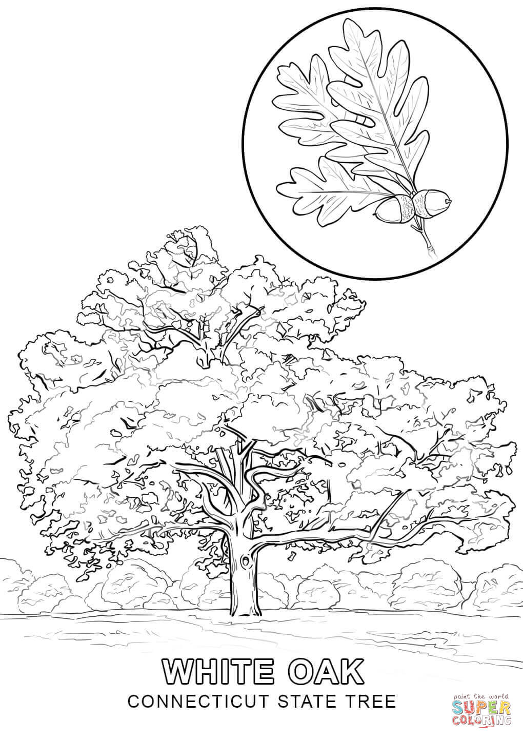 1020x1440 Pictures Welcome Spring Tree Coloring Pages For Preschool Free