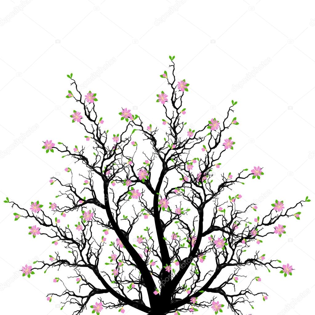 Spring Tree Drawing at GetDrawings | Free download