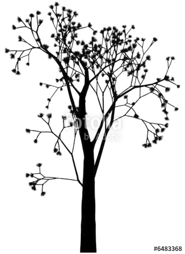 366x500 Spring Tree With Buds Stock Photo And Royalty Free Images