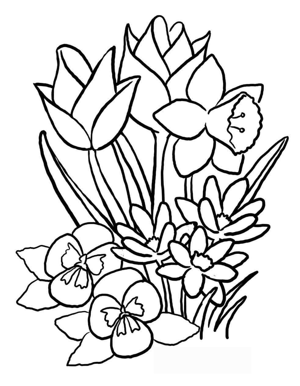 983x1264 The Images Collection Of Stock Season Doodle Freehand Spring