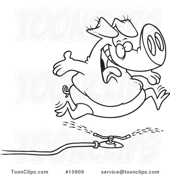 581x600 Cartoon Blacknd White Line Drawing Of Pig Running Through