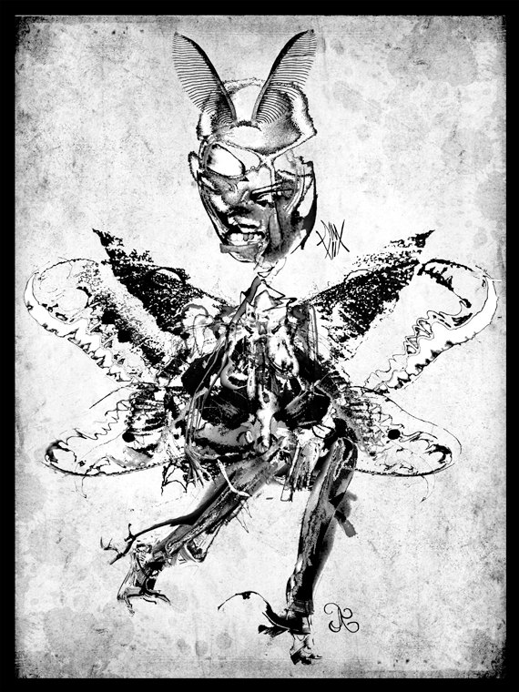 570x760 Tyler Brailey Art